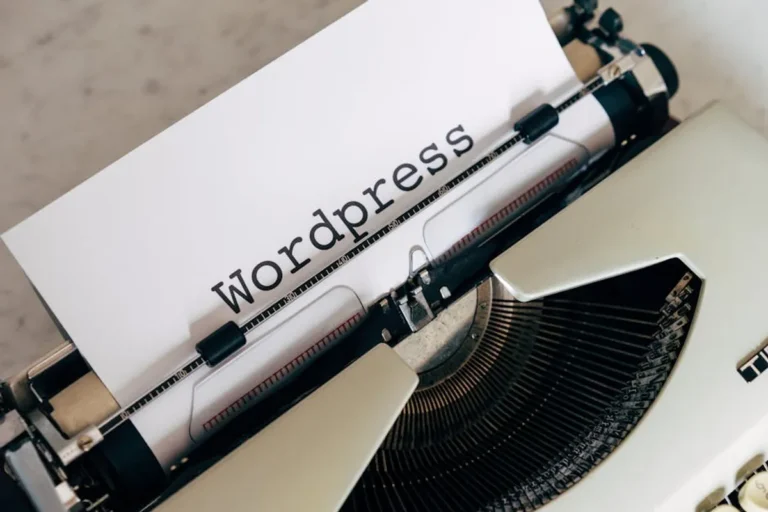 WordPress Hosting Guide for Beginners